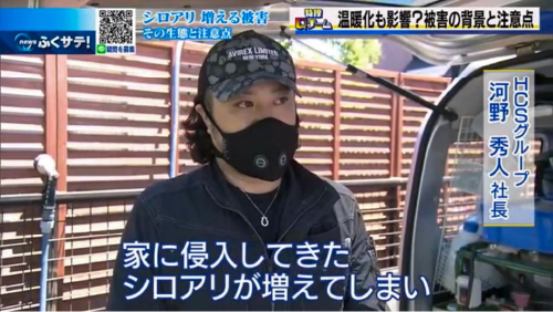 ふくサテ！テレビ番組出演