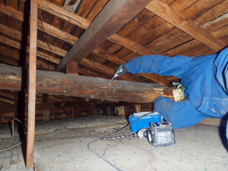 シロアリ駆除・予防