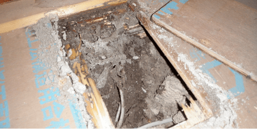 シロアリの被害状況