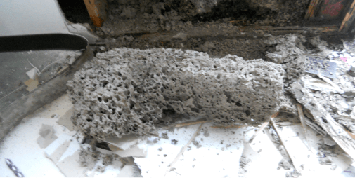 シロアリの被害状況