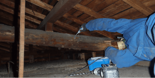 有資格者のスタッフで安心