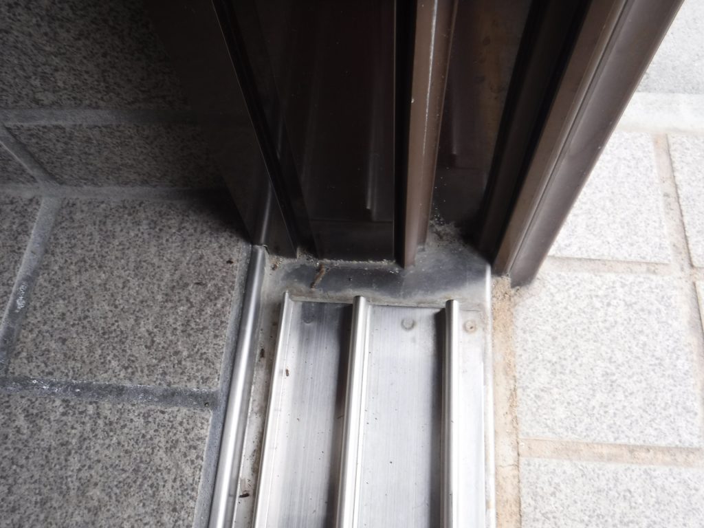 玄関の羽アリ死骸写真