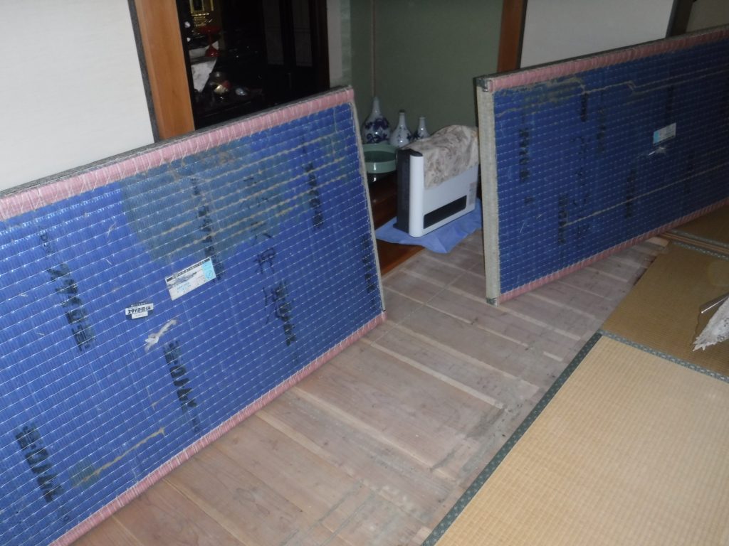 福岡県ヤマトシロアリの床下調査