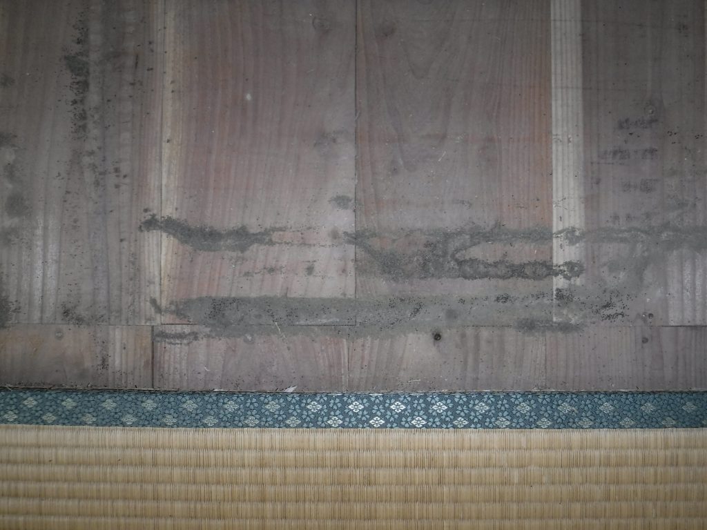 福岡県ヤマトシロアリの床下調査