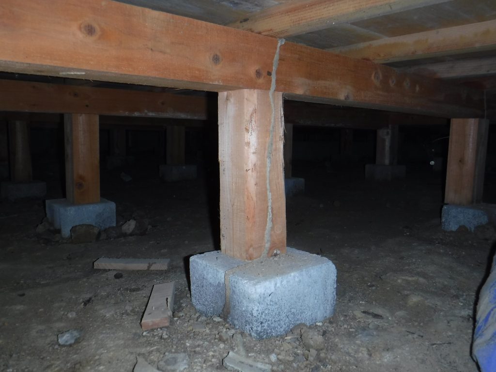 福岡県ヤマトシロアリの床下調査