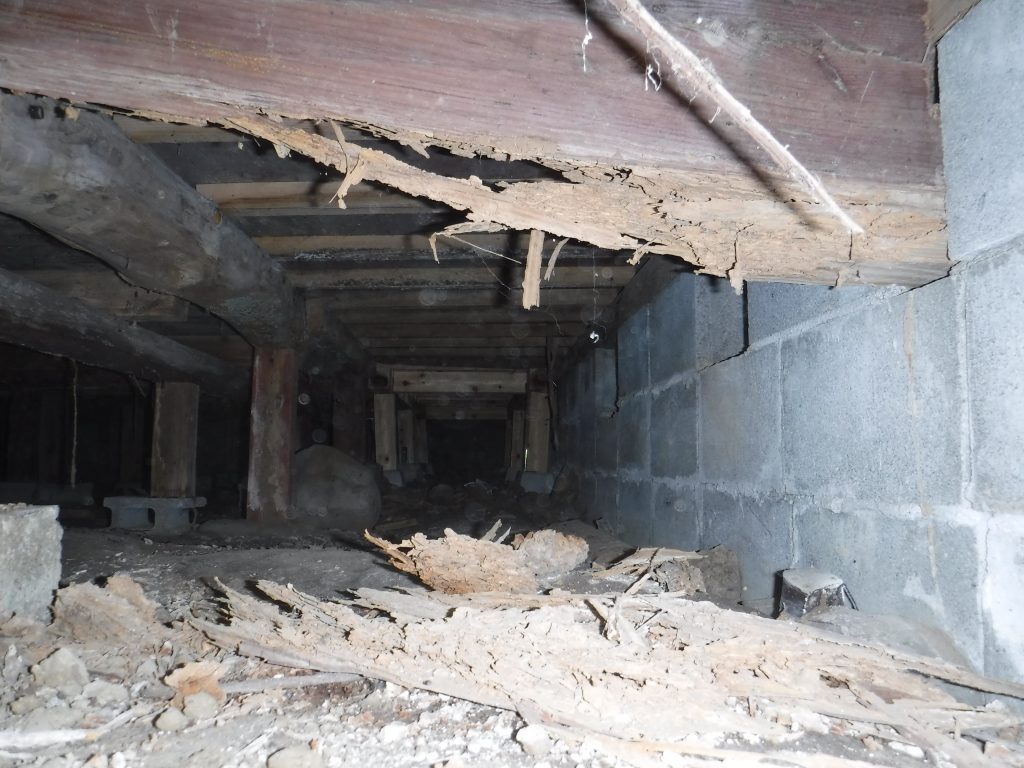 ヤマトシロアリの被害写真