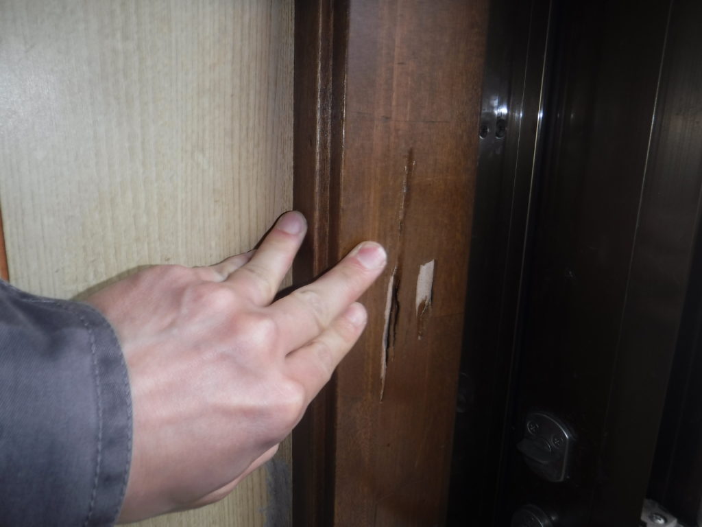 福岡県直方市でのシロアリ調査