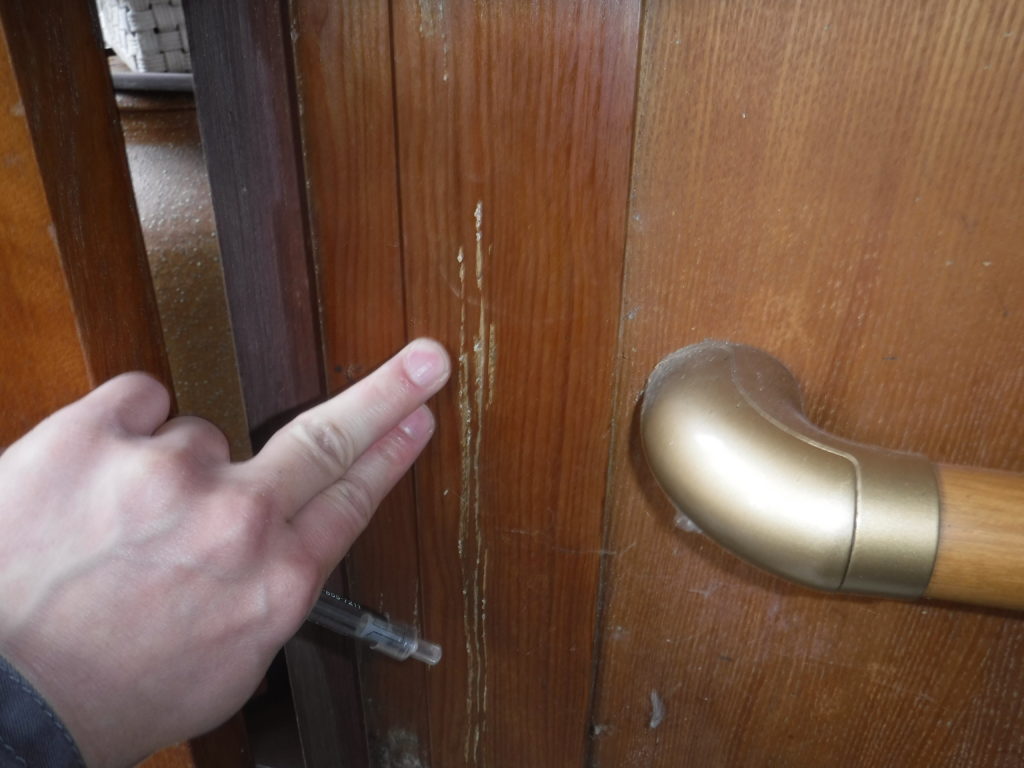 福岡県直方市シロアリ調査2