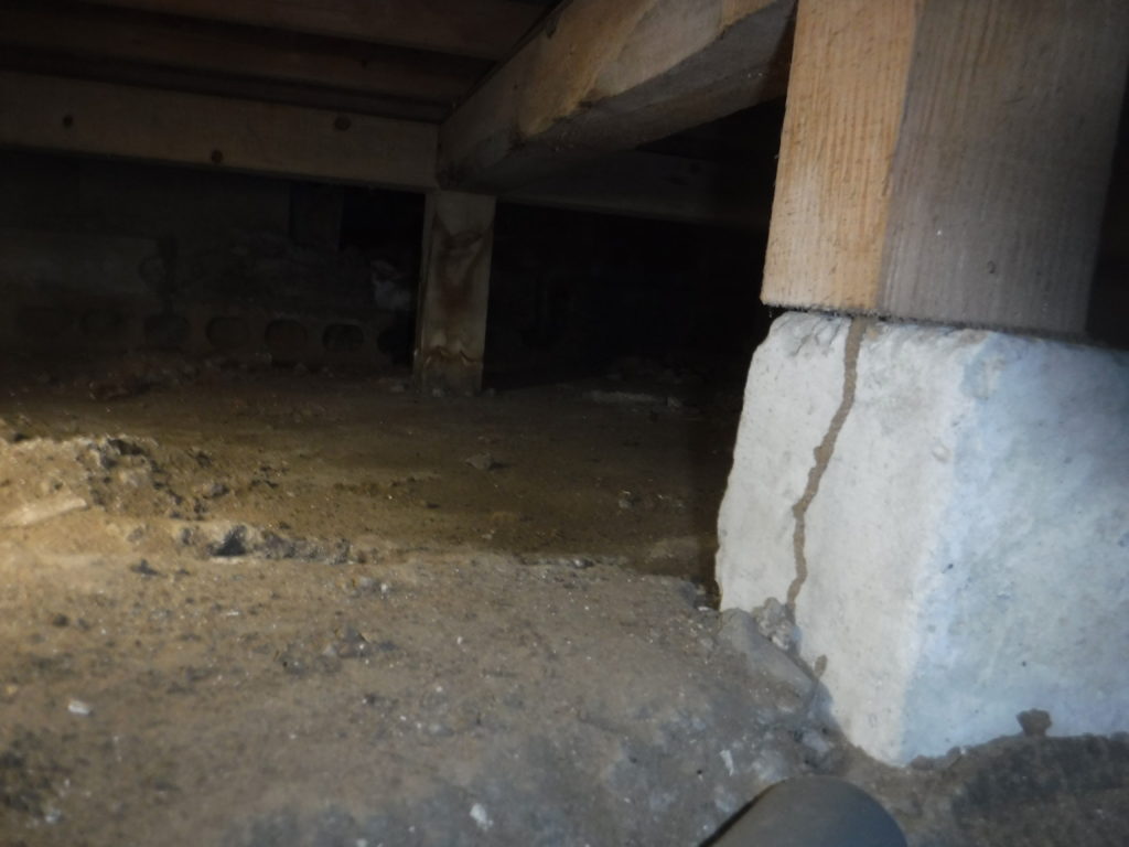 福岡県直方市シロアリ調査3