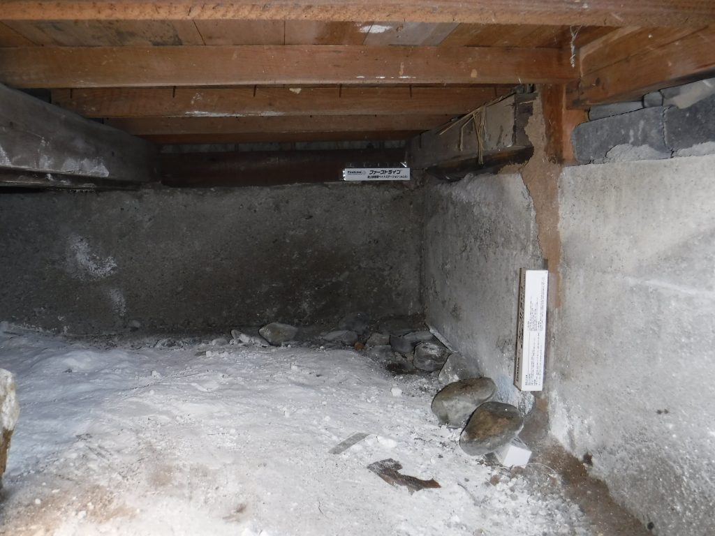 イエシロアリ駆除　ベイト工法の経過確認