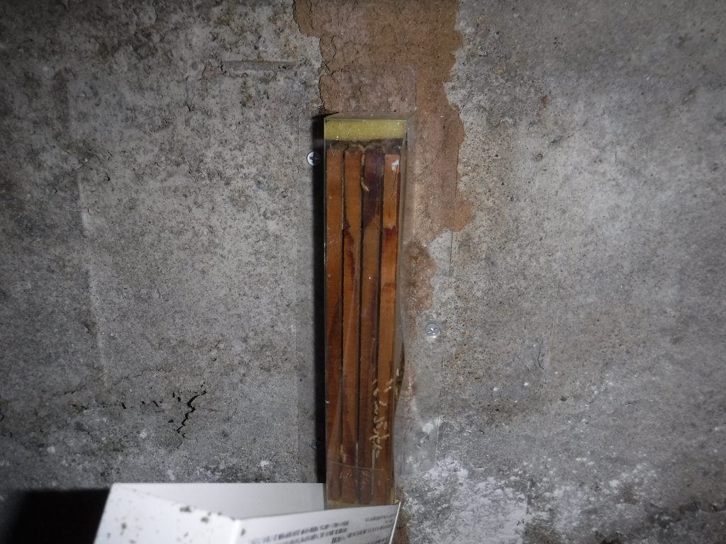 シロアリベイト工法設置