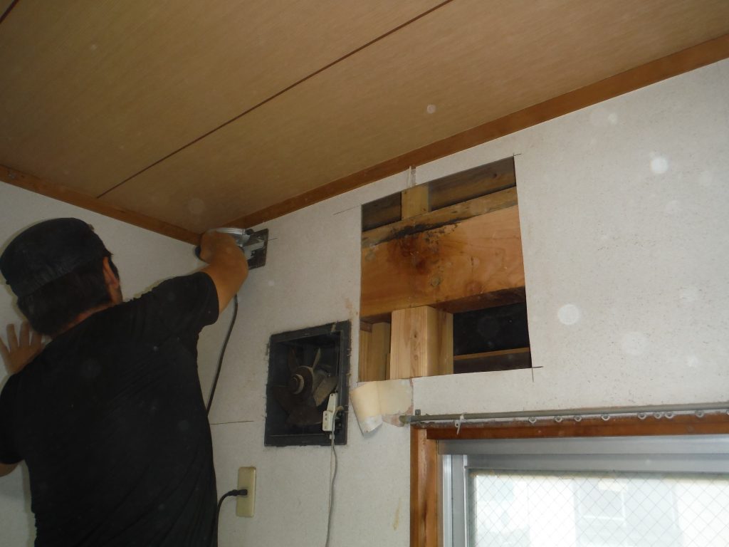 福岡市｜ 壁面のシロアリ調査