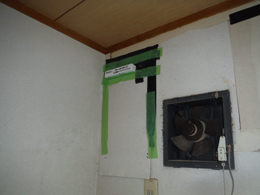 福岡市｜ 壁面のシロアリ調査