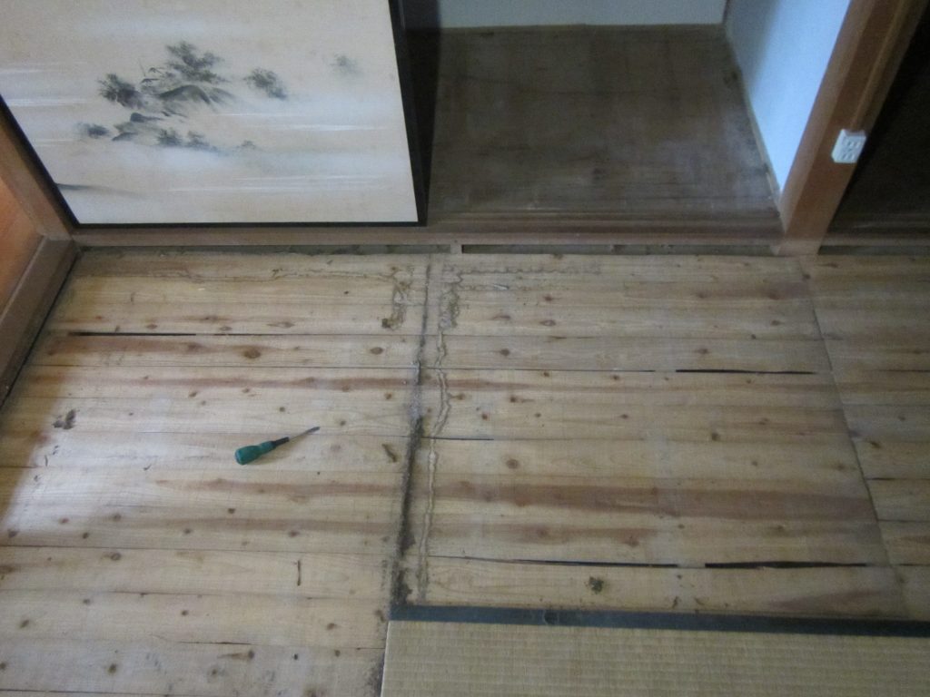 飯塚市での中古住宅のシロアリ調査