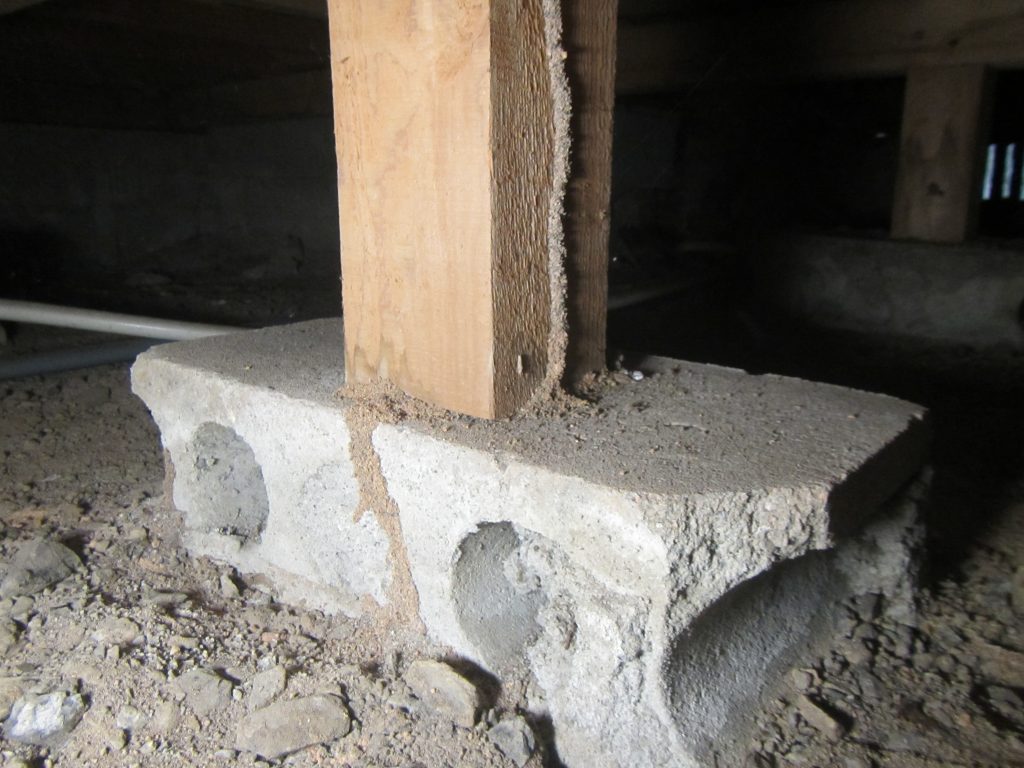 飯塚市中古住宅購入時のシロアリ調査3