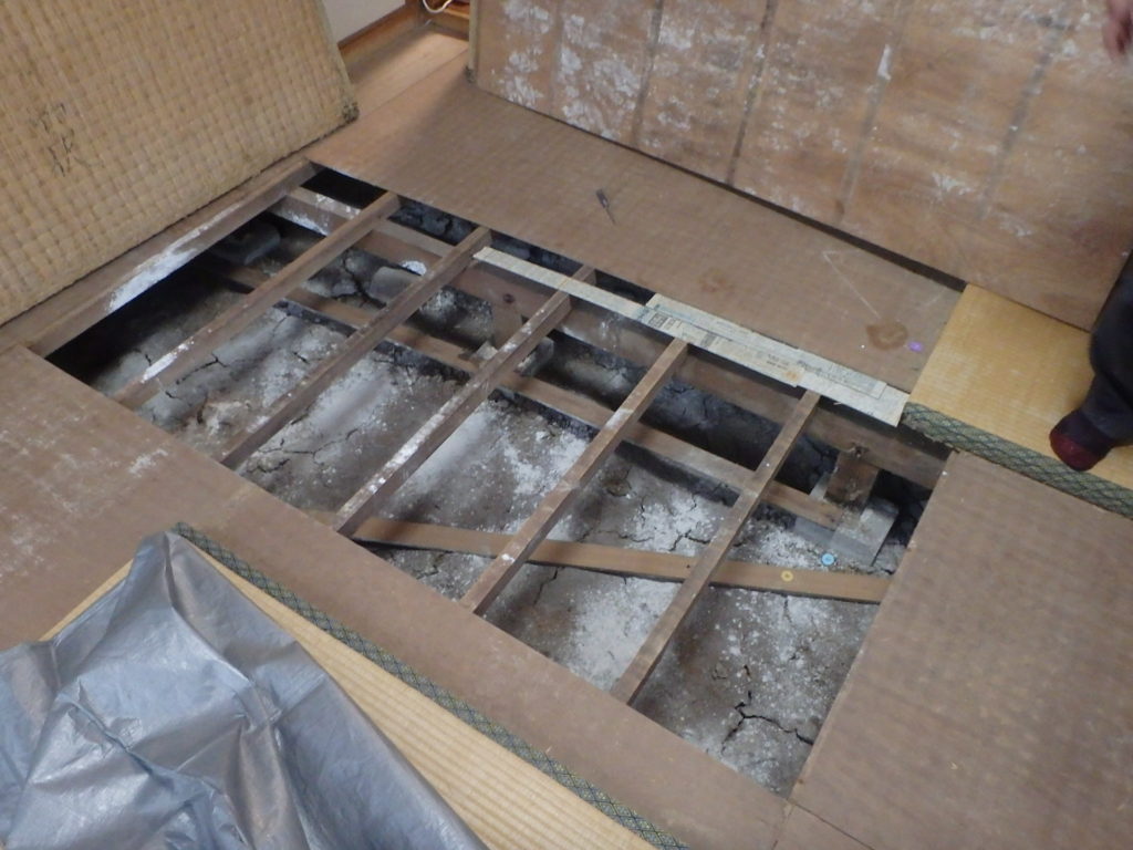 福岡市東区羽アリ調査01