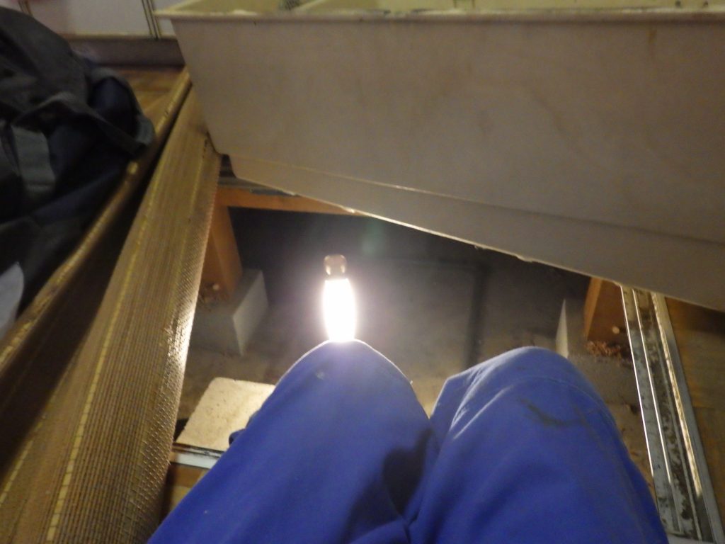 田川市シロアリ被害調査