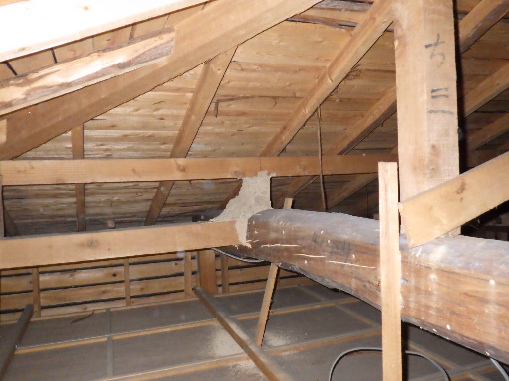 飯塚市シロアリ調査天井裏