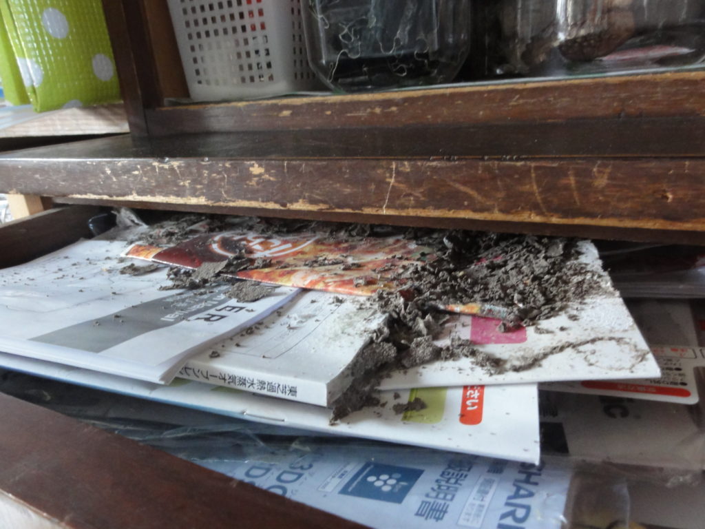 北九州市戸畑区東大谷でのイエシロアリ駆除