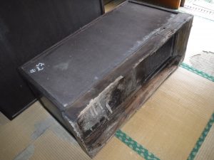 茶色い羽アリになる前のイエシロアリ