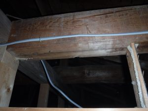 天井裏蟻道写真