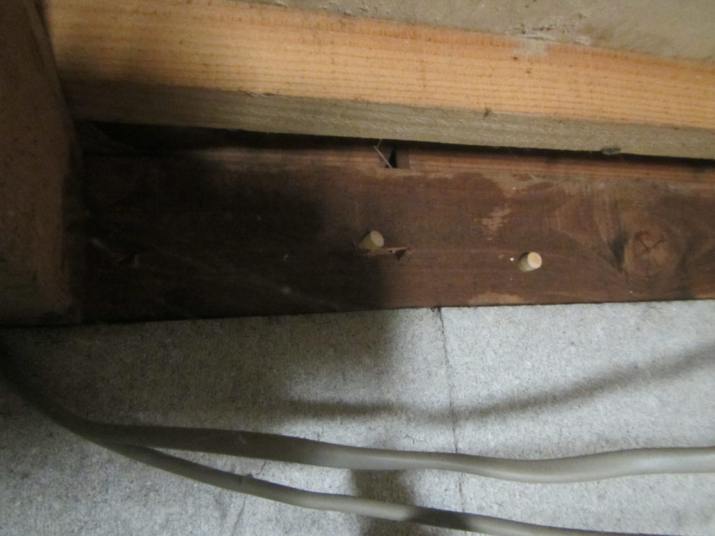 飯塚市弁分でのシロアリ調査