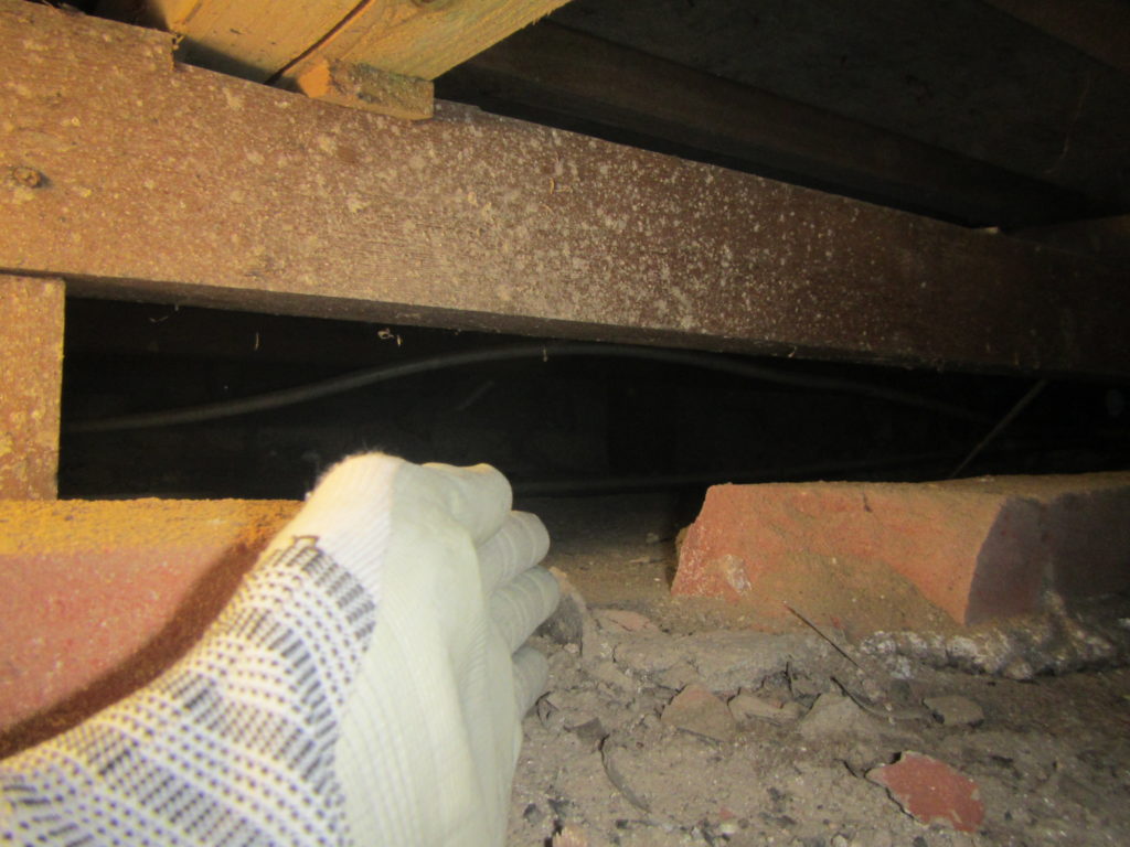 中古住宅のシロアリ調査｜飯塚市4