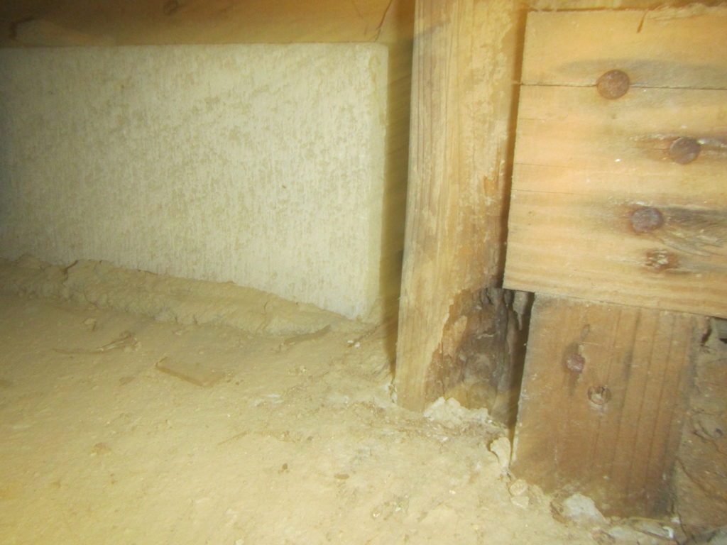 中古住宅のシロアリ調査｜飯塚市1