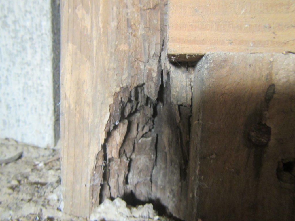中古住宅のシロアリ調査｜飯塚市2