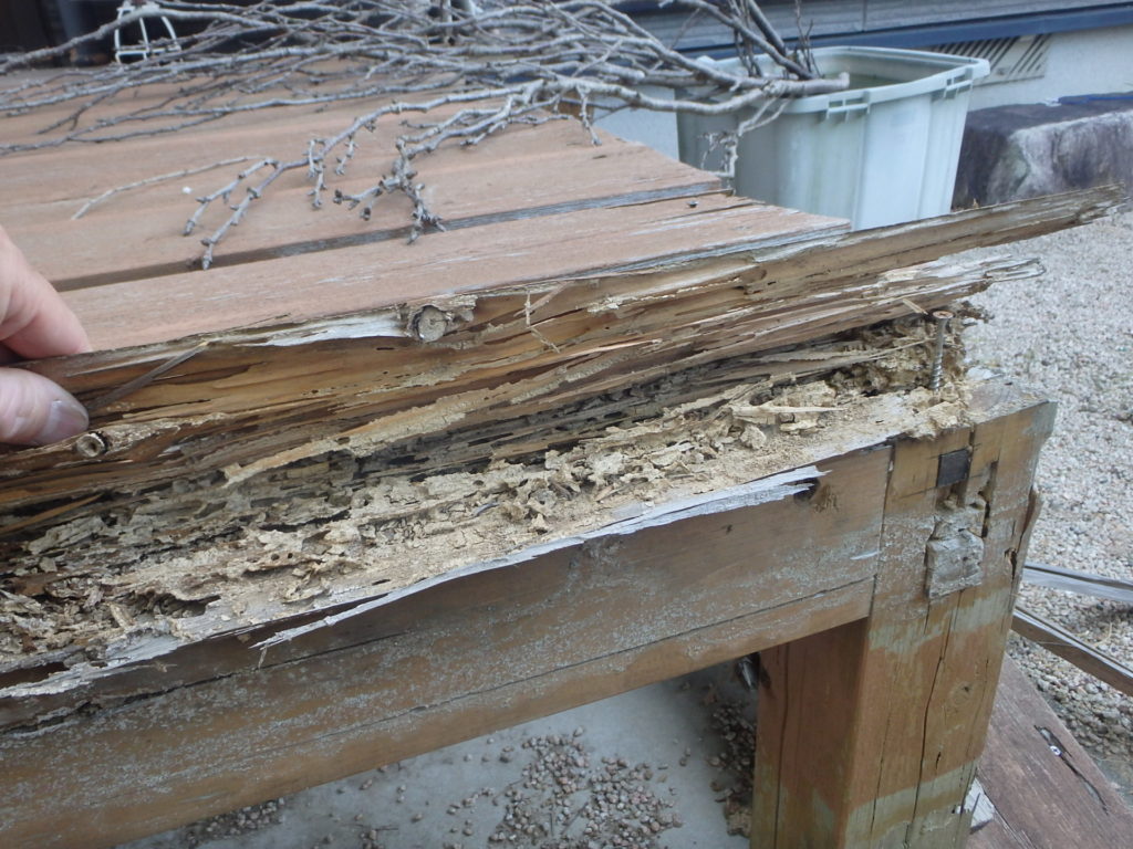 北九州市八幡西区ウッドデッキのシロアリ被害