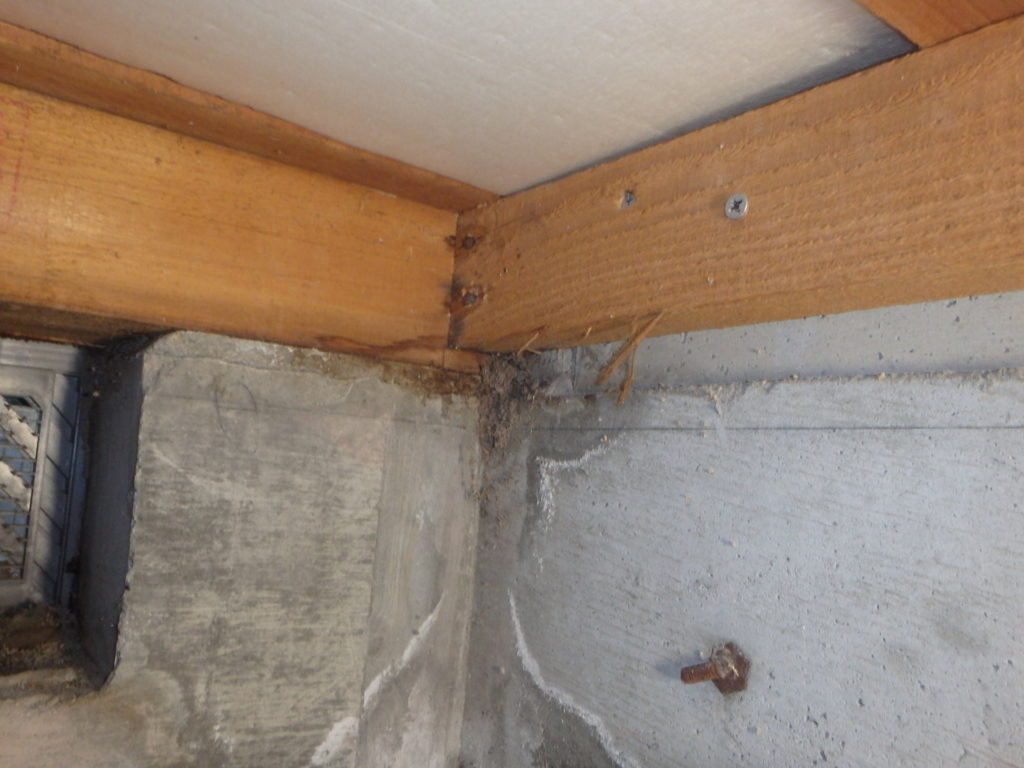 北九州市八幡西区シロアリ床下調査