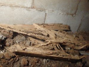シロアリ被害写真