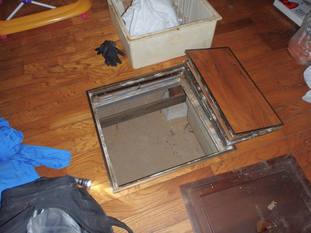 宗像市でのイエシロアリ被害の調査