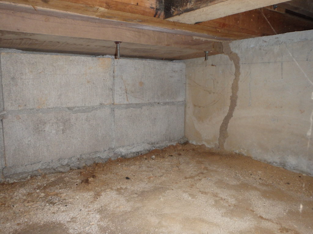 宗像市シロアリ調査