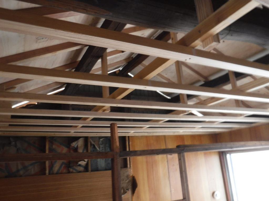 福岡でも被害の多いシロアリ！生態と正しい対処法