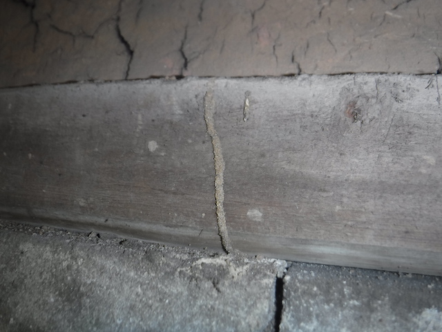 筑紫野市シロアリ蟻道（床下）