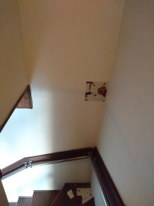 北九州市戸畑区の階段の壁のシロアリ被害①