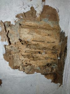 シロアリ被害は床下だけではございません。