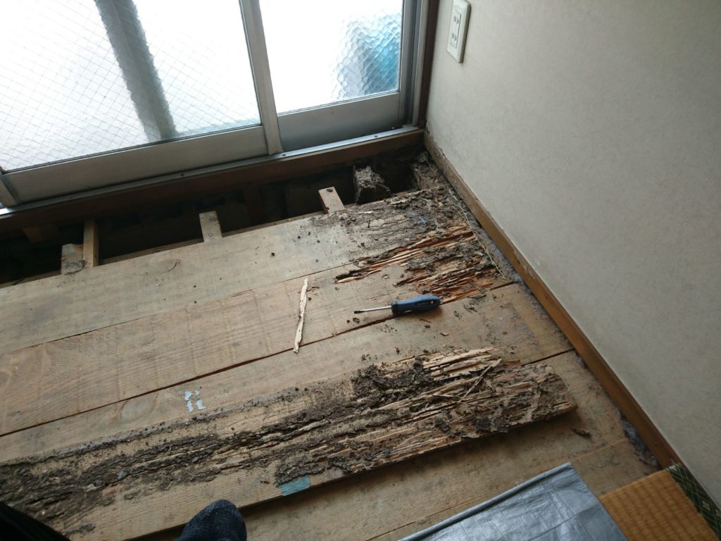 RC構造（鉄筋コンクリート造り）でもシロアリは生息してます。Vol2| 北九州市八幡西区