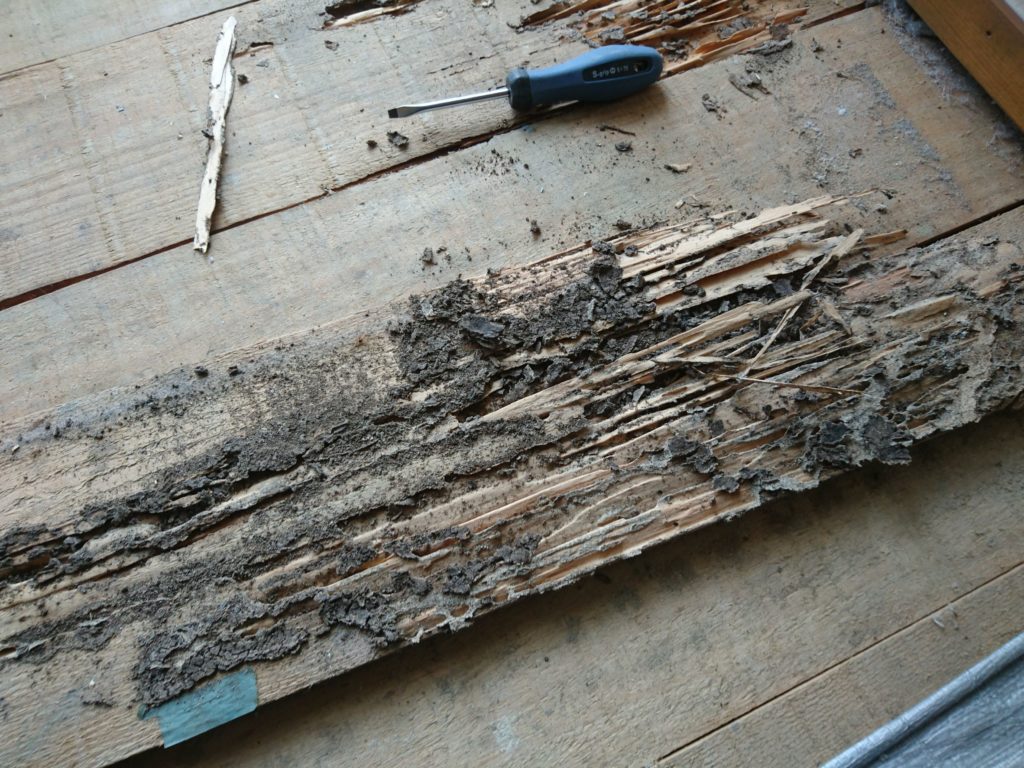 北九州市八幡西区RC造シロアリ被害