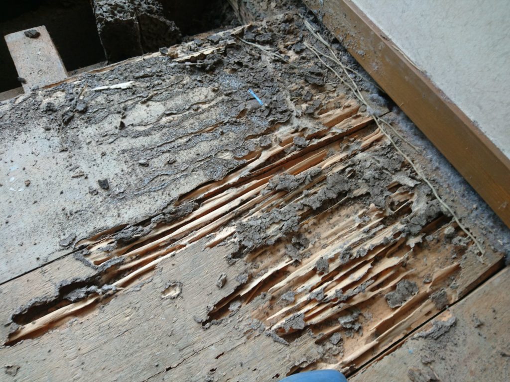 北九州市八幡西区RC造シロアリ被害