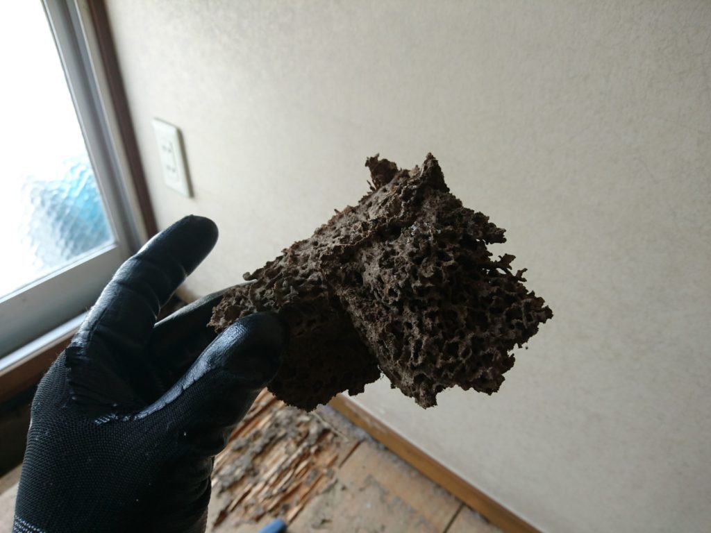 北九州市八幡西区RC造シロアリ被害