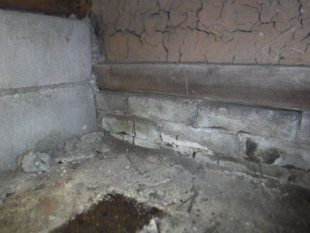 福岡県筑紫野市にてヤマトシロアリ調査に行ってきました