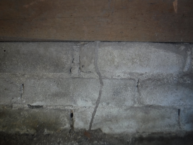 筑紫野市シロアリ蟻道