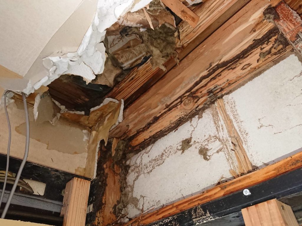 北九州市シロアリ消毒未処理