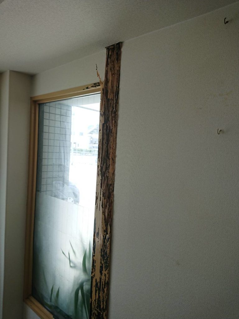 消毒未処理の部分からシロアリ発生