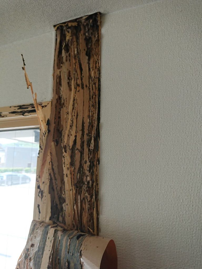 北九州市シロアリ消毒未処理