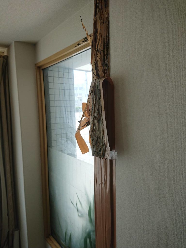 北九州市シロアリ消毒未処理