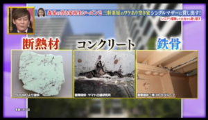 幸せボンビーガールシロアリ03