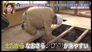 幸せボンビーガールシロアリ05